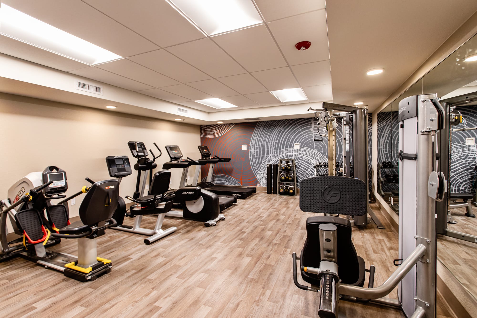 Senior Friendly Gym at 55 Resort in Windsor Colorado